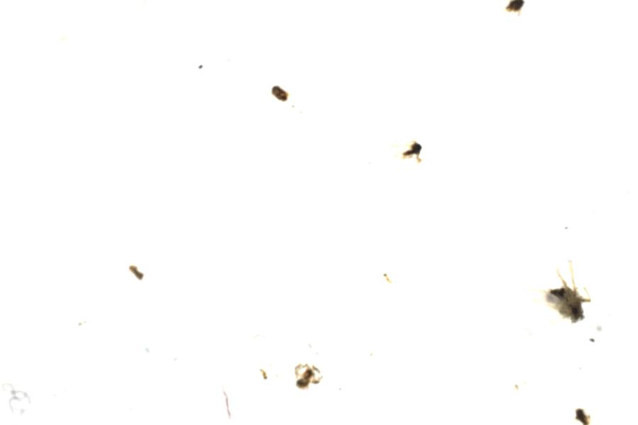 Image 47